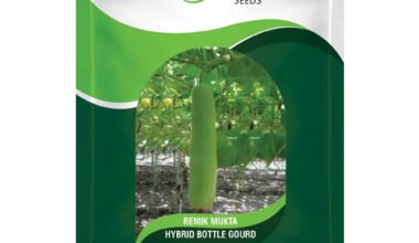 Bottle Gourd Remik Mukta - 5gm