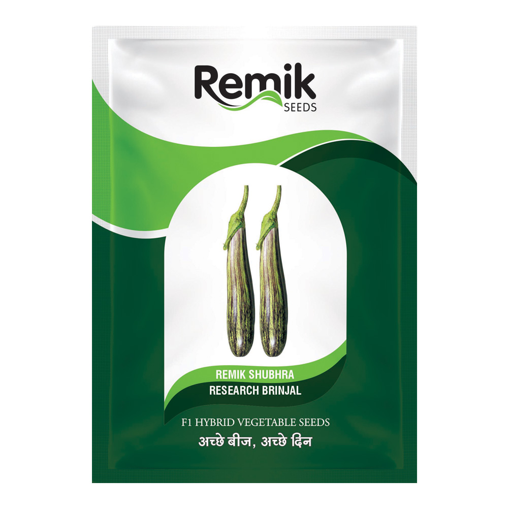 Brinjal Remik Shubhra - 2gm