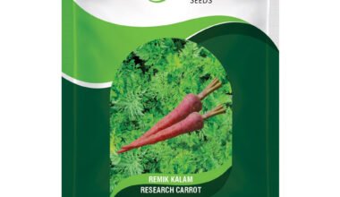 Carrot Remik Kalam - 500gm