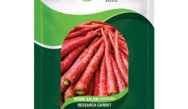 Carrot Remik MOODY RED - 500gm