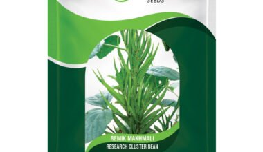Cluster Bean Remik Makhmali - 500gm