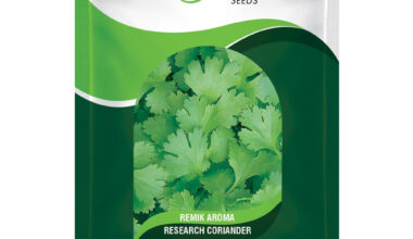 Coriander Remik Aroma - 40gm