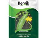 Cucumber Remik Chibhda - 5gm