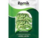 Dolichos Bean Remik Surti - 25gm