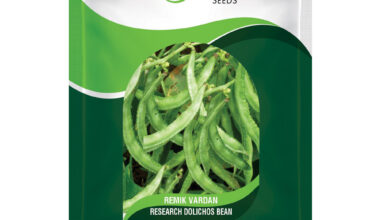 Dolichos Bean Remik Vardan - 250gm