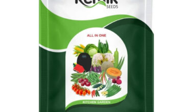 Free Demo Vegetables Seed
