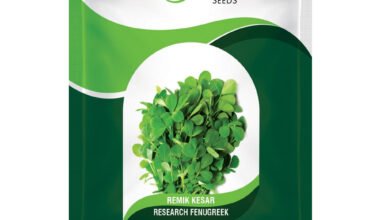Fenugreek Remik Keshar - 50gm