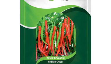 Hot Peper (Chilly) Remik Devanshi - 10gm
