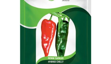 Hot Peper (Chilly) Remik Sarkar - 0.5gm