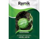 Karingda Remik Karingda - 10gm