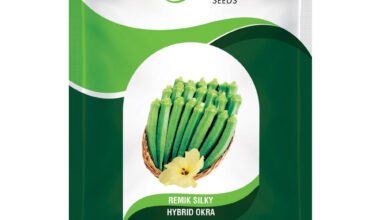 Okra Remik Silky - 12gm
