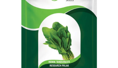 Palak Remik Tandurasti - 50gm