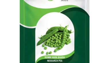 Pea Remik Harabhara - 500gm