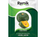 Pumpkin Remik Hero Bite - 3gm