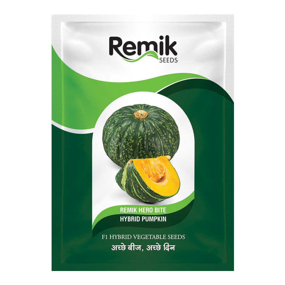 Pumpkin Remik Hero Bite - 3gm