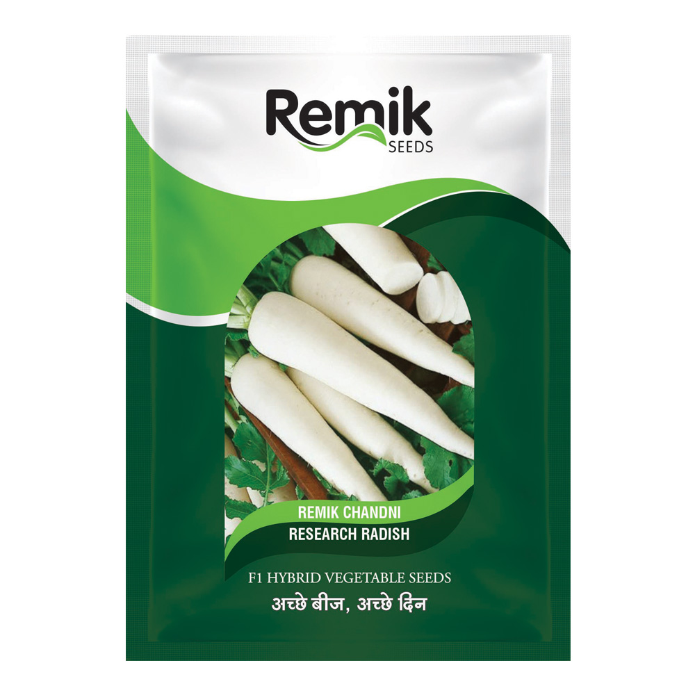 Radish Remik white sky - 5gm (HYBRID )