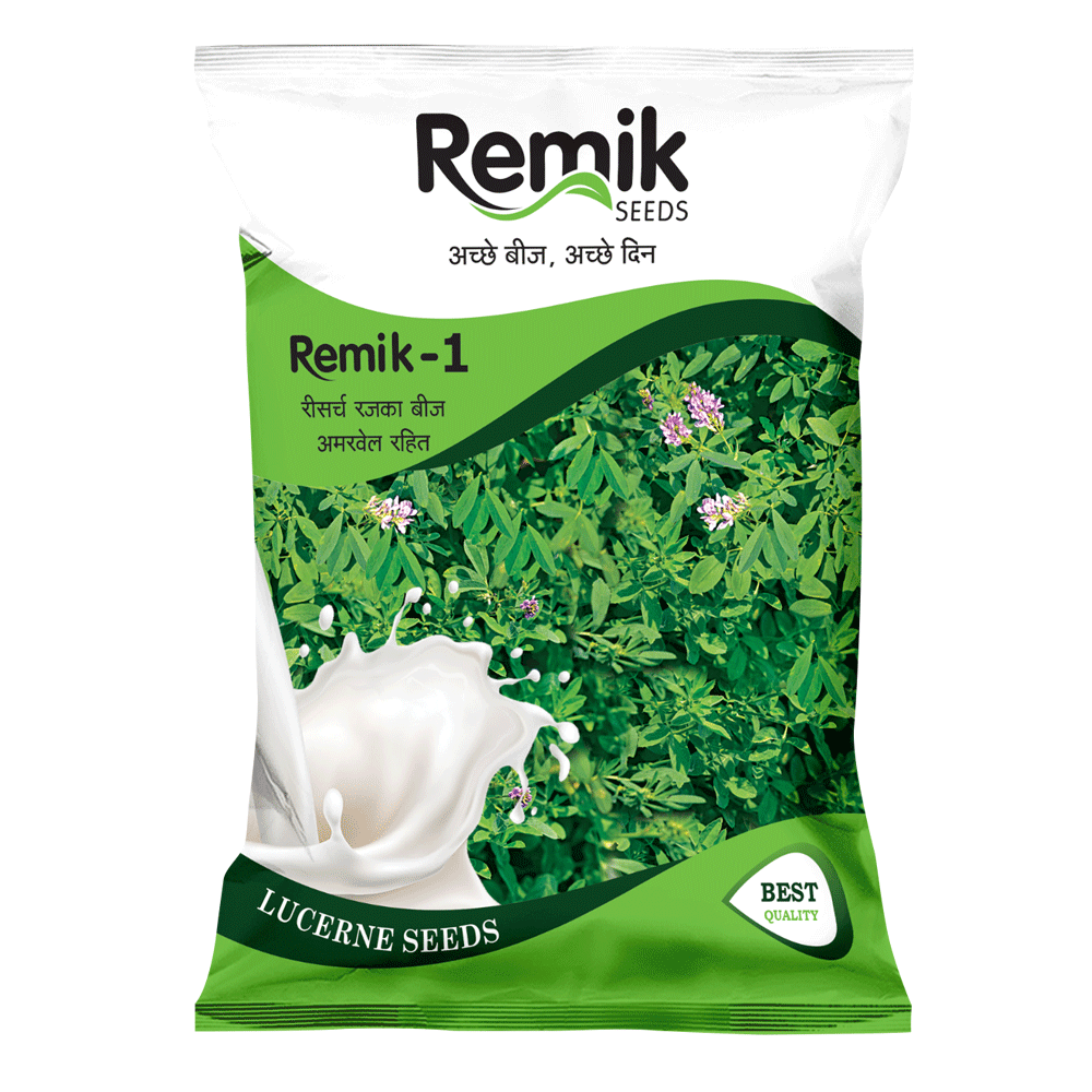 Tomato Remik 1058 - 0.5gm