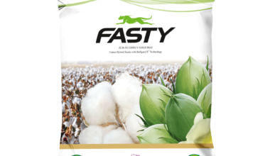 Cotton Remik Fasty - 0.450kg