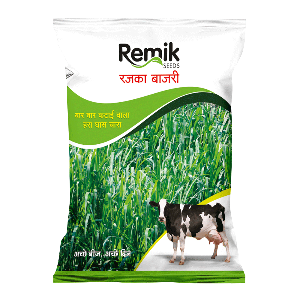 Remik Rajka Bajri - 1kg