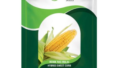 Sweetcorn Remik Rasmalai - 500gm