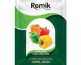 Sweet Peper Remik Italian - 0.5gm