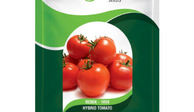 Tomato Remik 1058 - 10gm