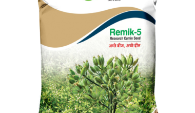 Cumin Remik -5 - 2kg