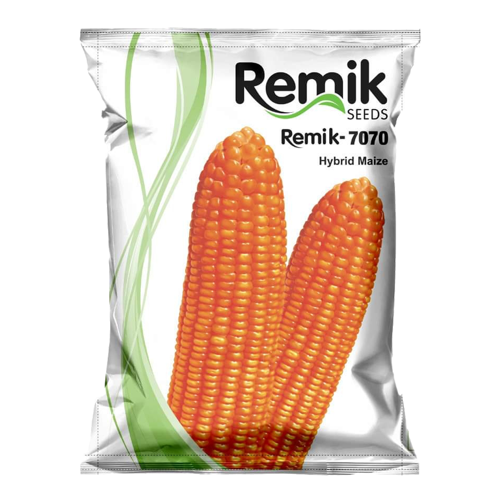 Hybrid Maize Remik 7070 - 4kg (Double Cross Yellow)
