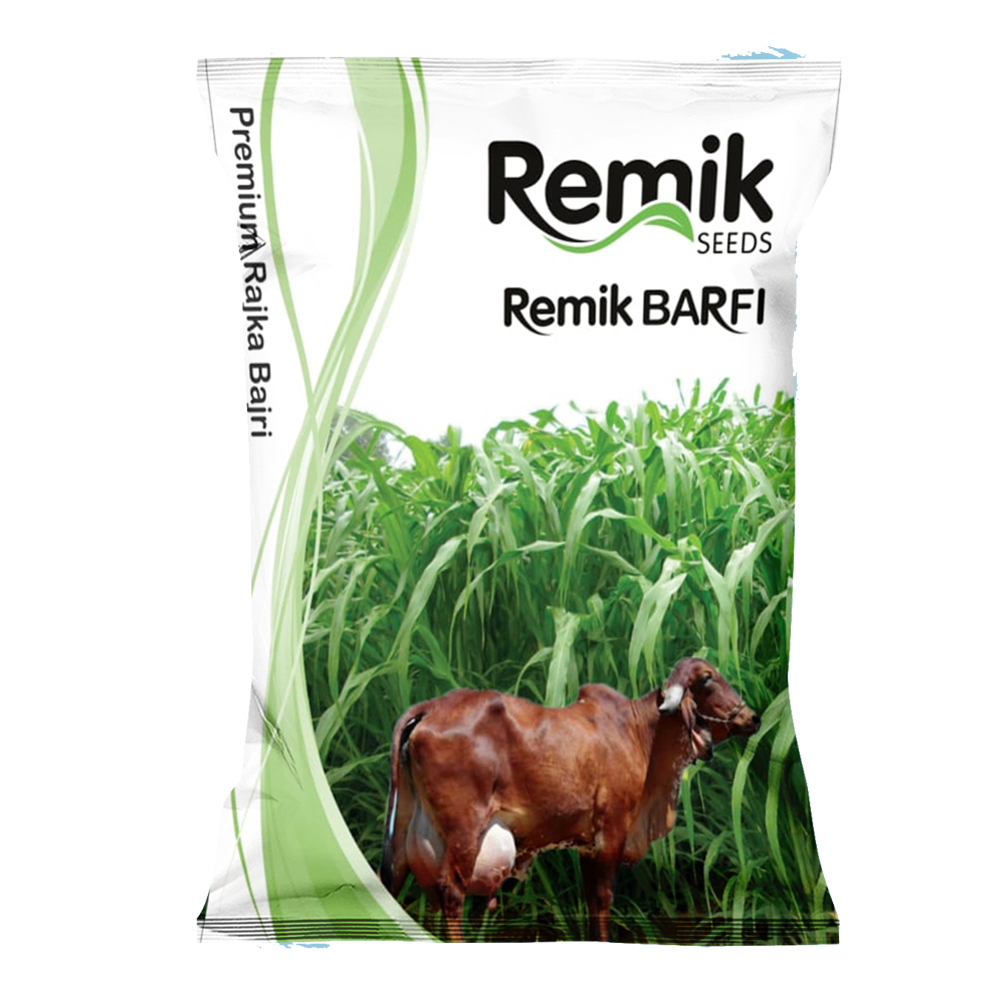 Premium Rajka Bajri Remik Barfi - 1kg