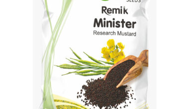 Mustard Remik Minister