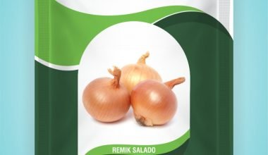 Onion Remik SALADO - 500gm