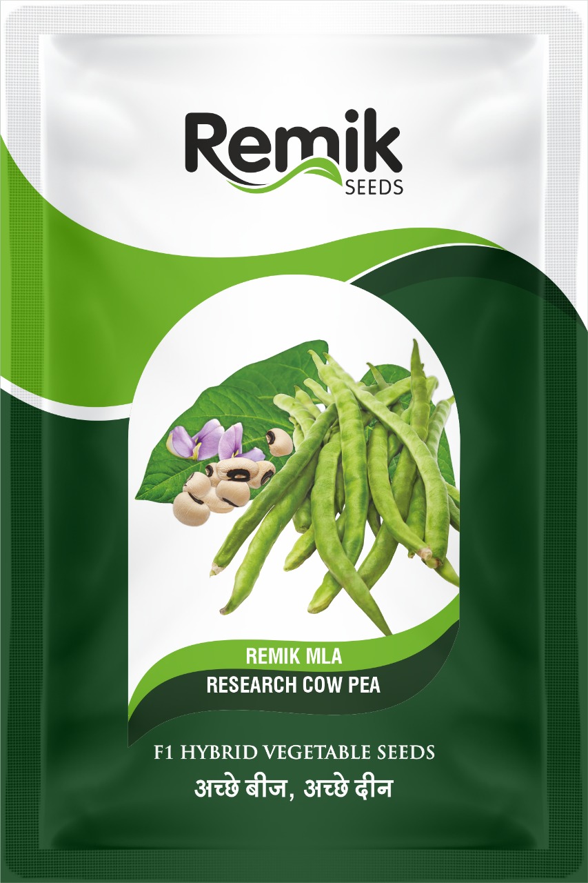 Research Cow pea Remik MLA (40-GM)