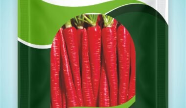 Carrot Remik moodyred ( Jodhpuri )- 500 gm