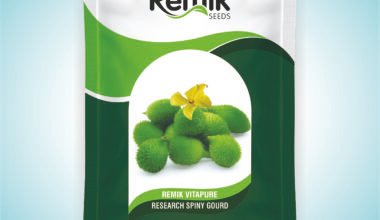 Research Spiny Gourd Remik Vitapure (100GM)  ( Kantola )