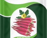 RESEARCH OKRA