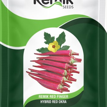 RESEARCH OKRA