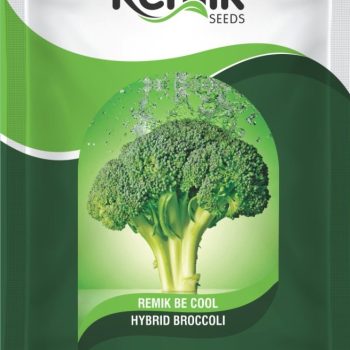 BROCCOLI SEEDS