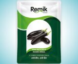 Brinjal Remik BLACK DOLLA - 10 GM