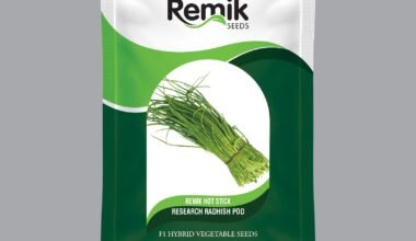 RadishPod - Remik hot stick - 5 gm