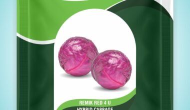 Red Cabbage Remik red 4 U - 0.5gm