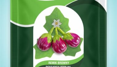Research brinjal - Remik Browny - 2 gm