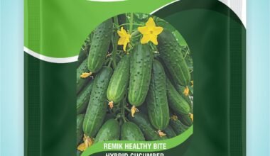 hybird Cucumber Remik Healthy Bite - 1gm